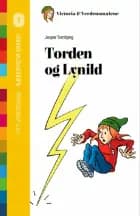 Torden og Lynild