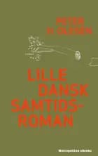 Lille dansk samtidsroman