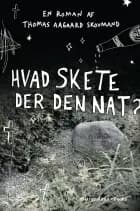 Hvad skete der den nat?
