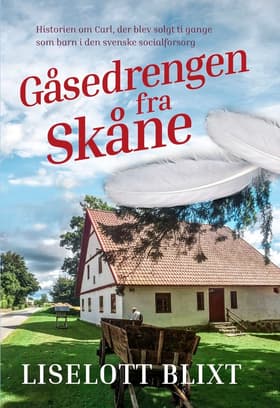 Gåsedrengen fra Skåne af Maj-Britt Lund