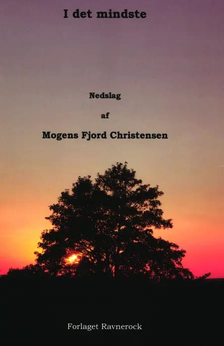 I det mindste Nedslag af Mogens Fjord Christensen