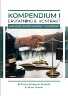 Erstatning og Kontrakt af Philip V. Schmidt og Adam Tamim