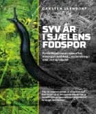 Syv år i sjælens fodspor