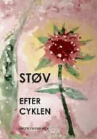 STØV EFTER CYKLEN af Birgitte Fjeldsøe Beck