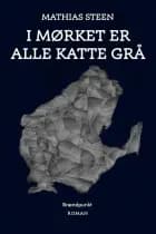I mørket er alle katte grå af Mathias Steen