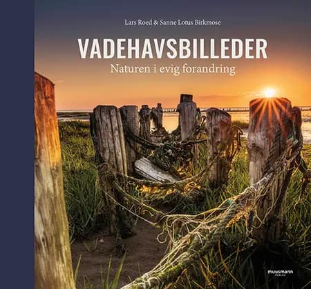 Vadehavsbilleder af Lars Roed