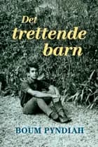 Det trettende barn