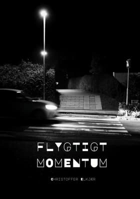 Flygtigt Momentum af Christoffer Elkjær