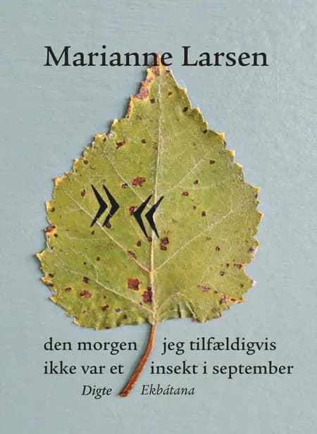den morgen jeg tilfældigvis ikke var et insekt i september af Marianne Larsen