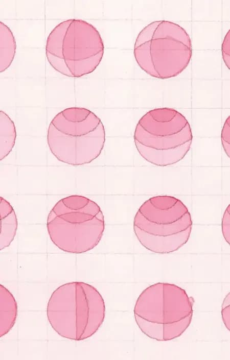 Cirkel for cirkel af Ann Linn Palm Hansen