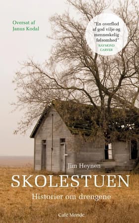 Skolestuen - historier om drengene af Jim Heynen
