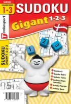 Sudoku GIGANT 1,2,3