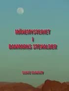 Månemysteriet i Danmarks stenalder