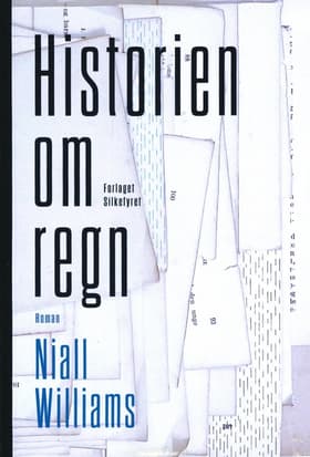 Historien om regn af Niall Williams