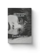 Barnebarnet af Bernhard Schlink