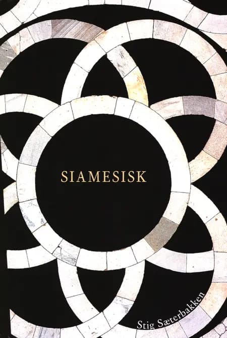Siamesisk af Stig Sæterbakken