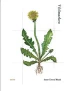 Vildmarken af Anne Green Munk