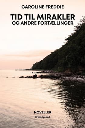 Tid til mirakler af Caroline Freddie