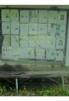 INDTIL TANKEN OM SNEGLE HAR STREJFET OS 