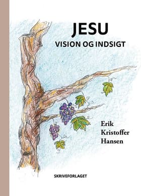 Jesu vision og indsigt af Erik Kristoffer Hansen