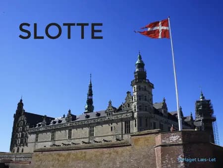 Slotte af Hanne Guldberg Mikkelsen