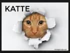 Katte af Hanne Guldberg Mikkelsen
