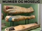Mumier og Moselig