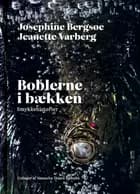 Boblerne i bækken af Josephine Bergsøe og Jeanette Varberg