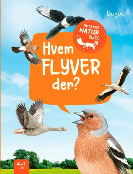 Hvem flyver der? af Lea Hille