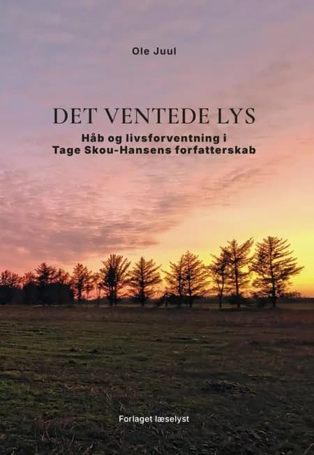 Det ventede Lys af Ole Juul