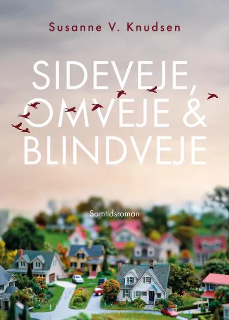 Sideveje, omveje & blindveje af Susanne V. Knudsen