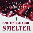 Sne der aldrig smelter