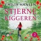 Stjernekiggeren
