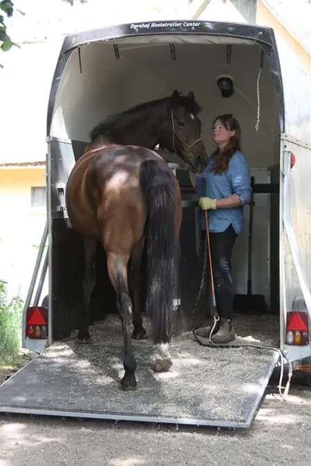 Trailertræning af Pia W. K. Svane