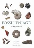 Fossilienjagd in Dänemark af Jesper Milan