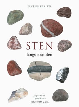 STEN af Jesper Milàn