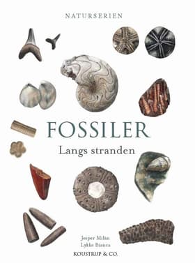 FOSSILER af Steen Frimodt