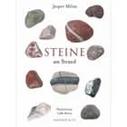 STEINE