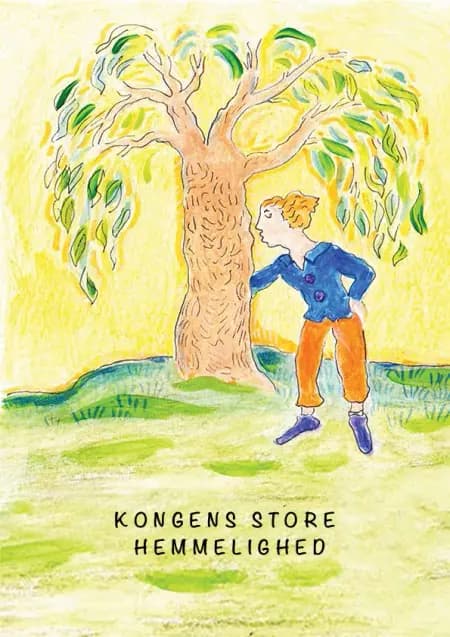 Kongens store hemmelighed af Lillian Törnqvist