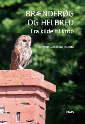Brænderøg og helbred af Solveig Czeskleba-Dupont
