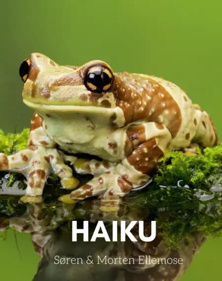 HAIKU af Morten Ellemose