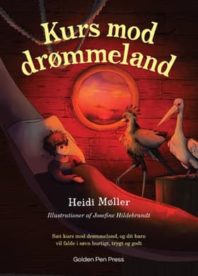 Kurs mod drømmeland af Heidi Møller