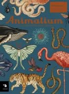 Animalium af Katie Scott og Jenny Broom