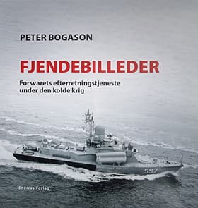 Fjendebilleder af Peter Bogason