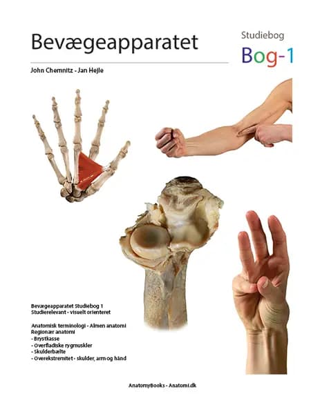 Bevægeapparatet - Bog1 af John Chemnitz