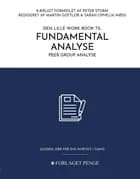 Den lille workbook til Fundamental Analyse af Peter Storm