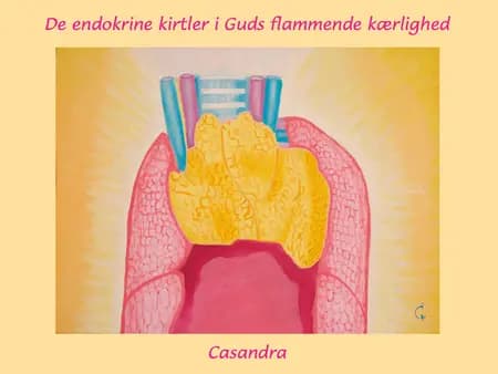 De endokrine kirtler i Guds flammende kærlighed af Casandra