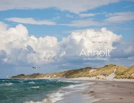 Anholt af Kim Fleischer Michaelsen