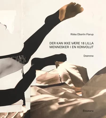 Der kan ikke være 18 lilla mennesker i en konvolut af Rikke Oberlin Flarup