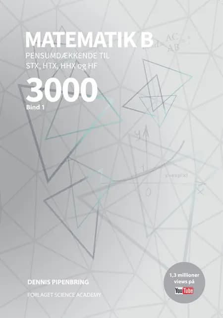 Matematik 3000 B Niveau af Dennis Pipenbring